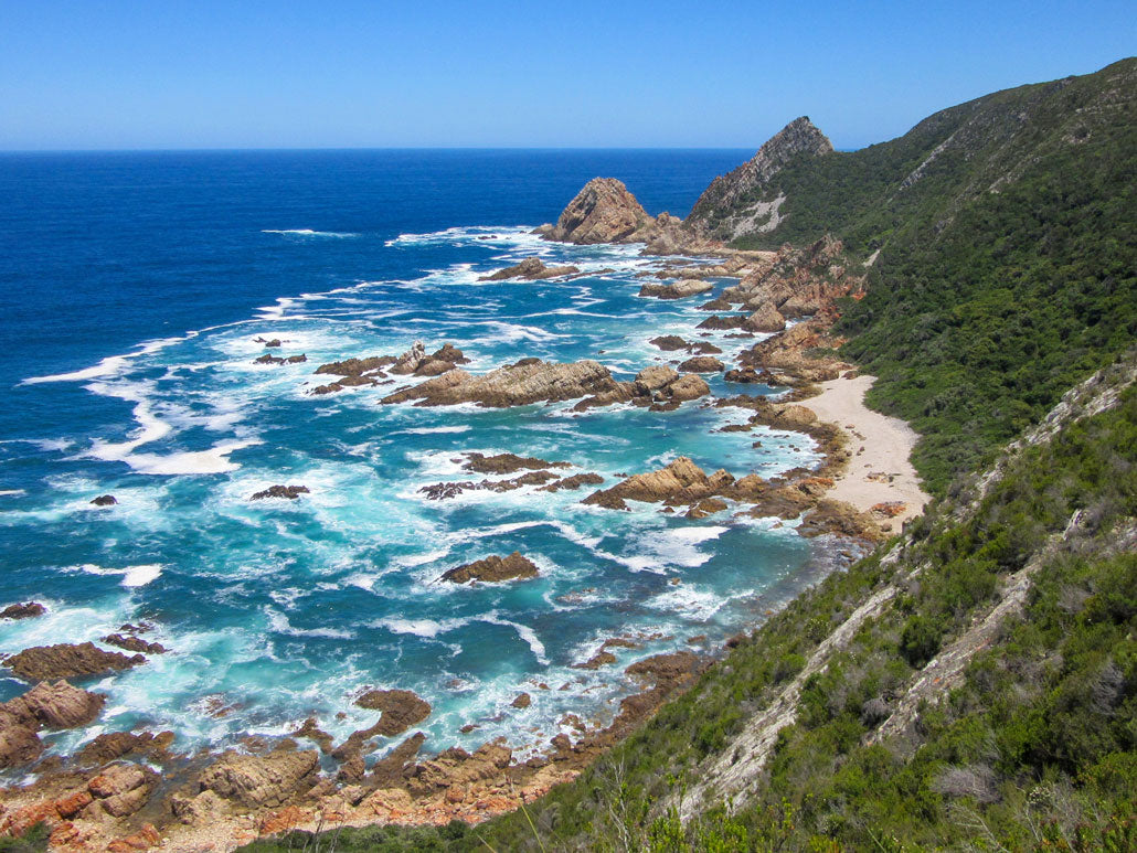 Harkerville Coastal Hiking Trail