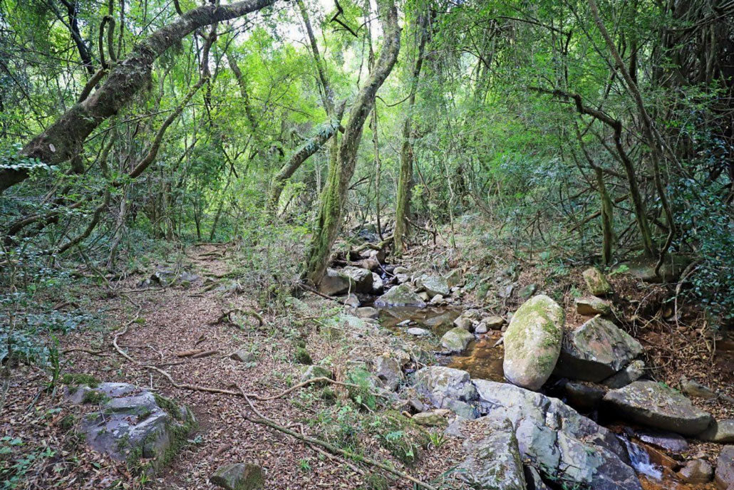 High Five Hiking Trail