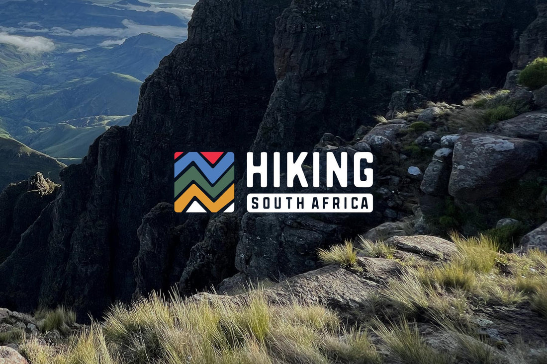 A New Look for a New Chapter