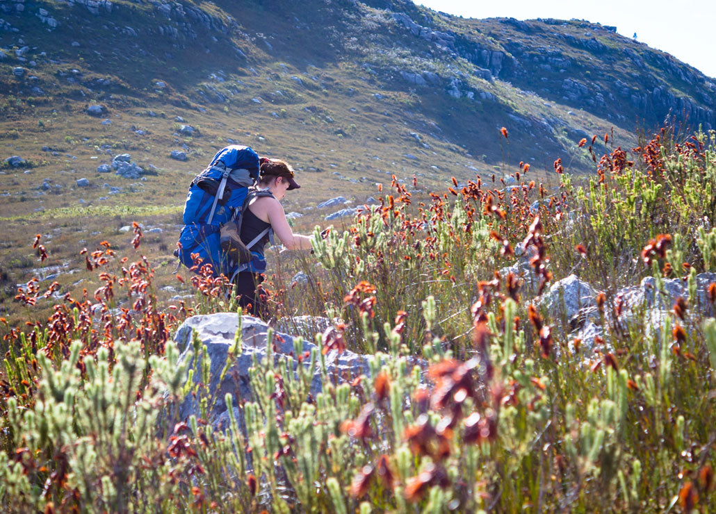 Boland Trail – The Sphinx Route