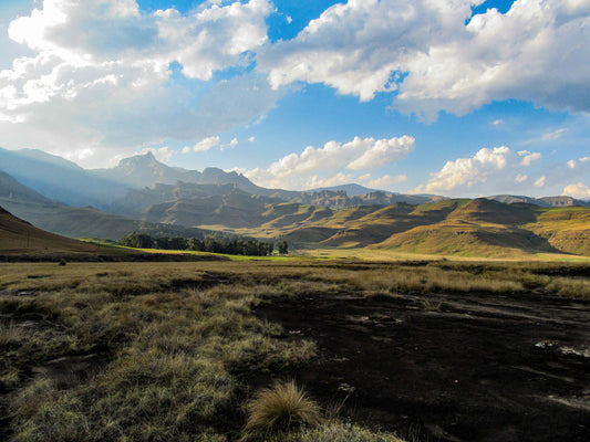 giants-cup-in-a-day-swiman-detour2