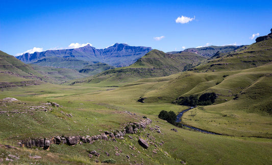 giants-cup-trail-2018-52