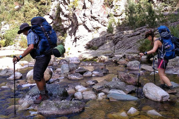 Trekking Poles: Do They Work?
