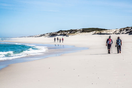 Shoreline of the San