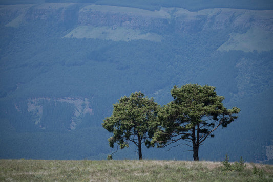 Uitsoek Hiking Trail
