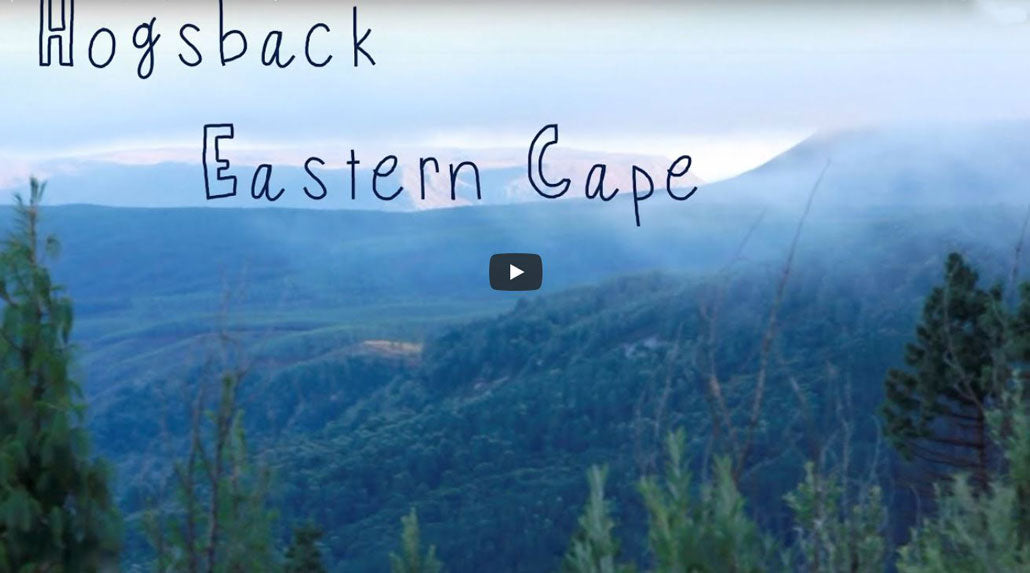 Video: Hogsback and the Amatola Mountains