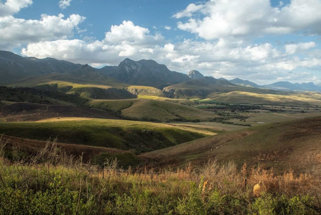 Boosmansbos Wilderness Area - Hiking South Africa