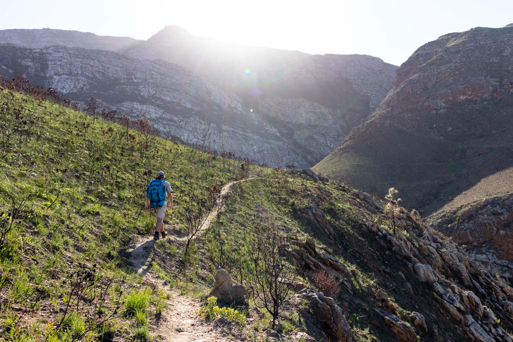 Green Mountain Trail - Hiking South Africa