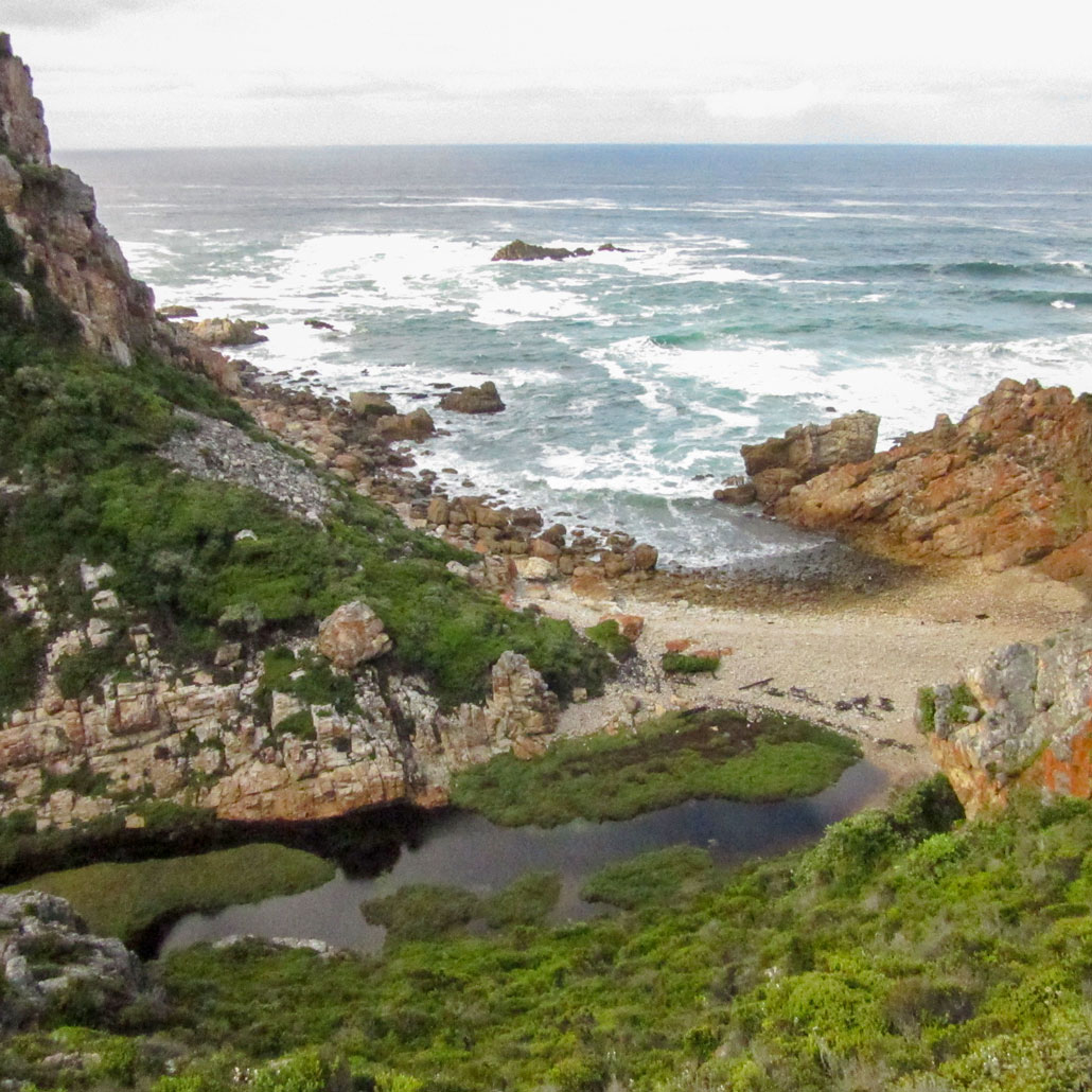 Harkerville Coastal Hiking Trail - Hiking South Africa