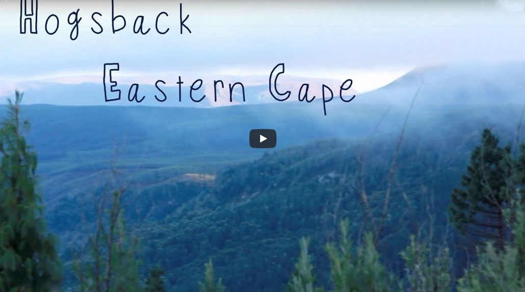 Video: Hogsback and the Amatola Mountains - Hiking South Africa